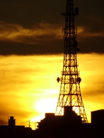 1dsc09818_2 1dsc09818_2